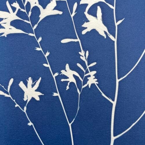 Crocosmia · Doble carta