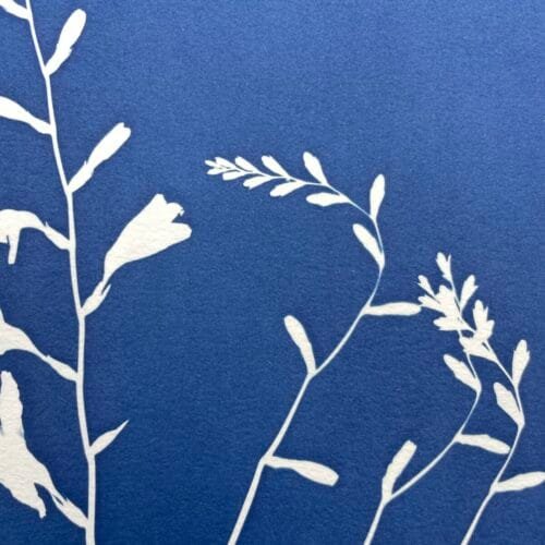 Crocosmia · Doble carta