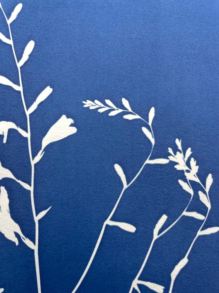 Crocosmia · Doble carta