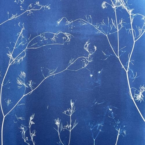 Maleza · Doble carta