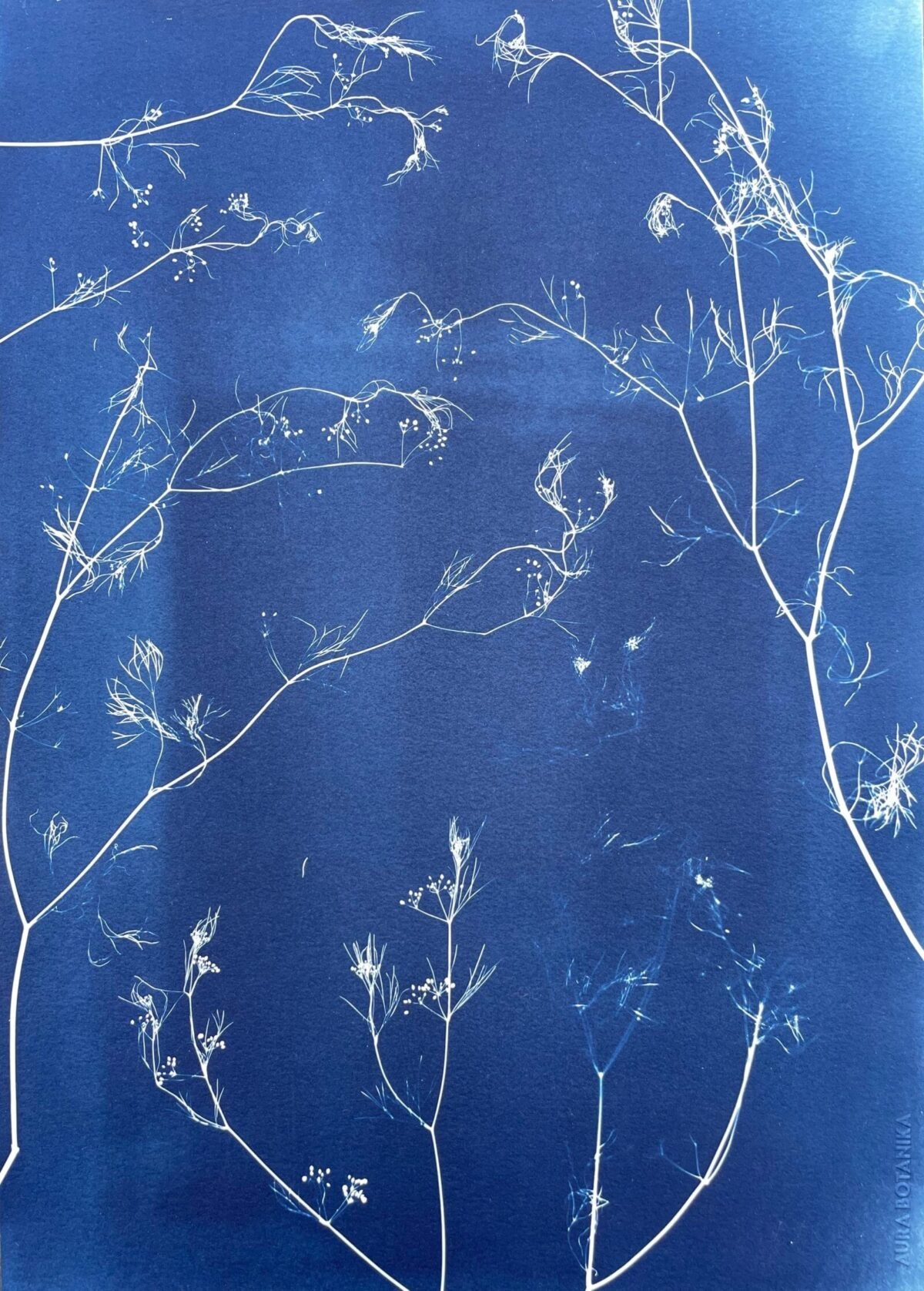 Maleza · Doble carta