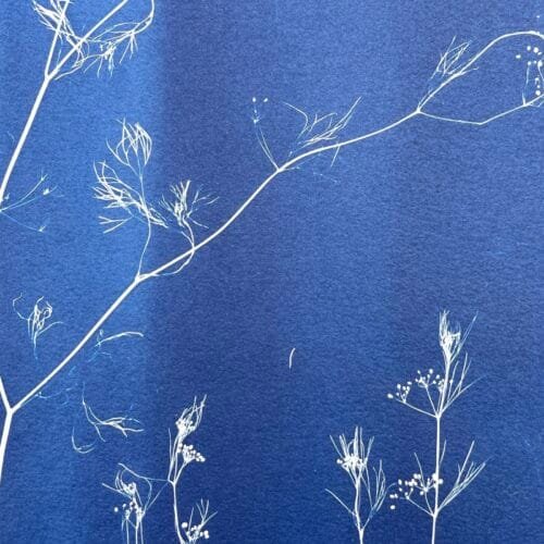 Maleza · Doble carta