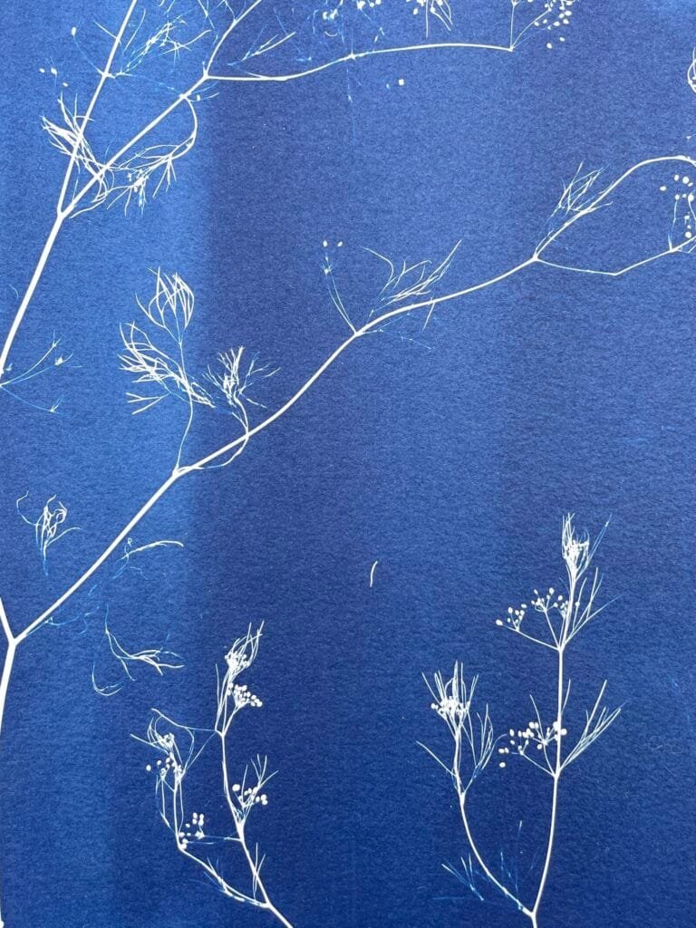 Maleza · Doble carta