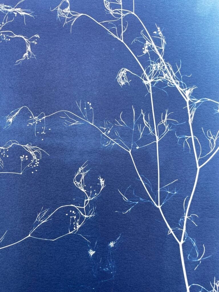 Maleza · Doble carta