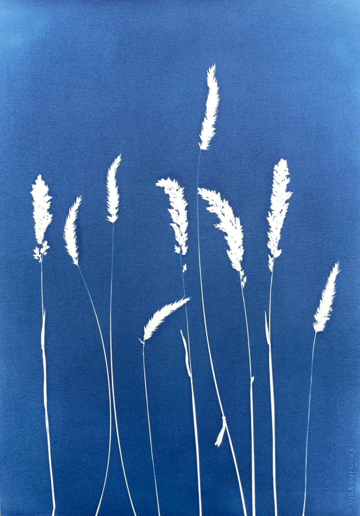 El Viento · Doble carta