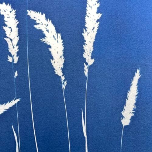 IMG_6480 El Viento · Doble carta