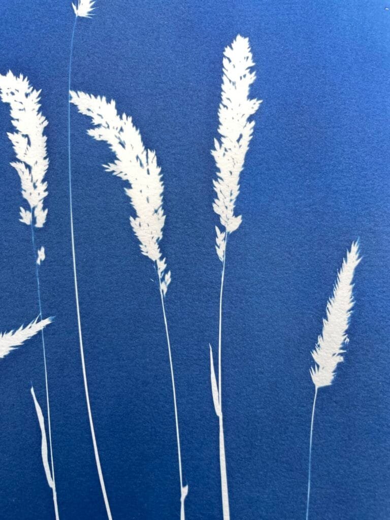 IMG_6480 El Viento · Doble carta