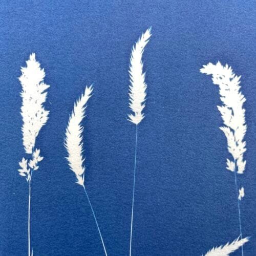 IMG_6481 El Viento · Doble carta