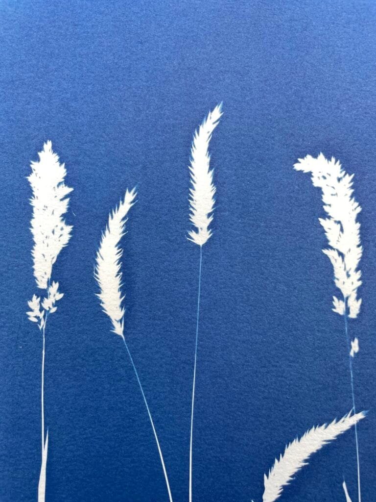 IMG_6481 El Viento · Doble carta