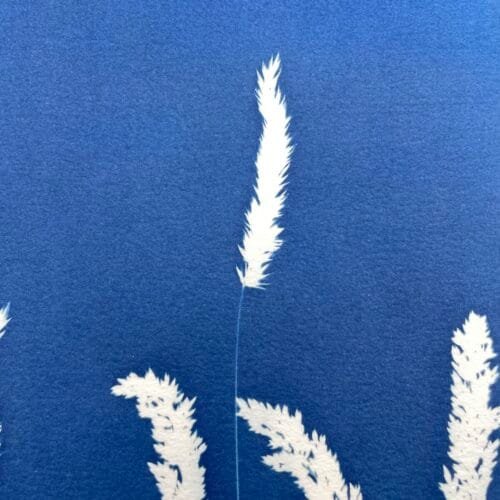 IMG_6482 El Viento · Doble carta