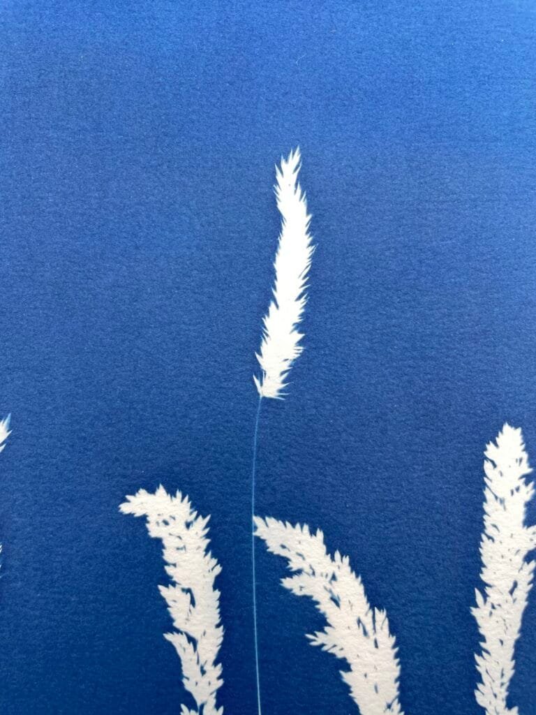 IMG_6482 El Viento · Doble carta