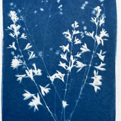 Ramo floral · Carta