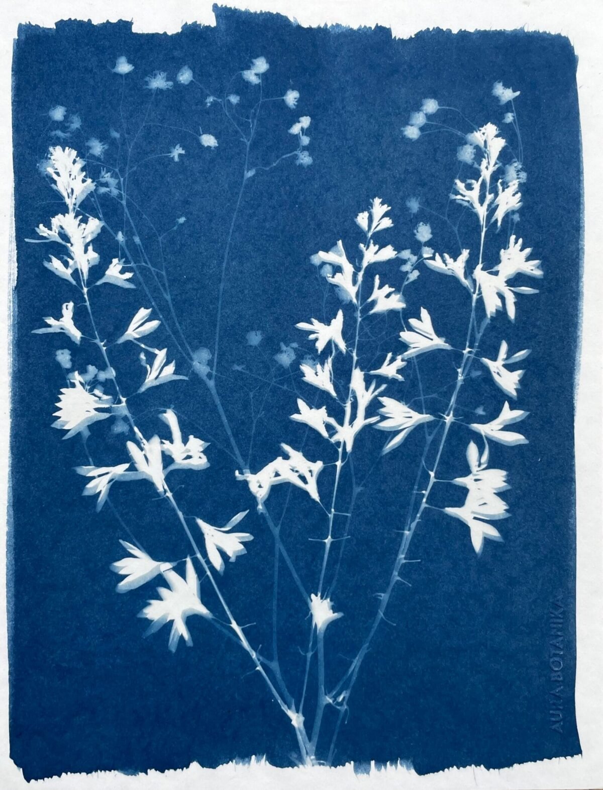 Ramo floral · Carta