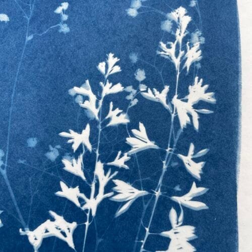 Ramo floral · Carta