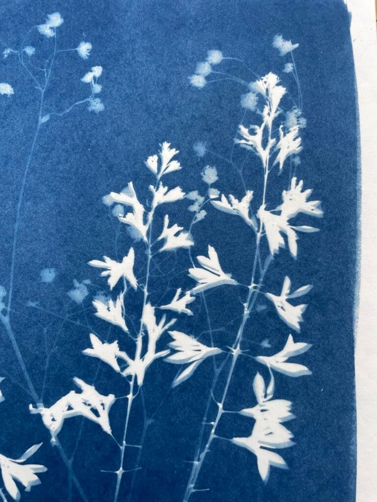 Ramo floral · Carta