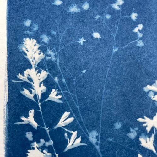 Ramo floral · Carta