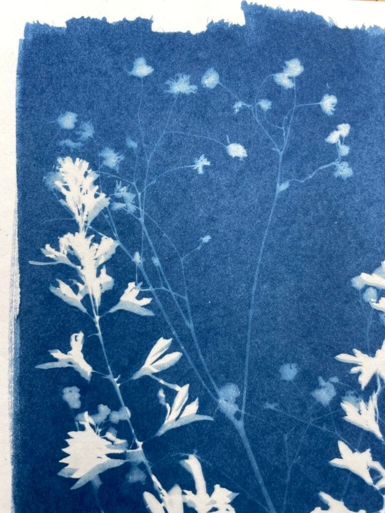 Ramo floral · Carta