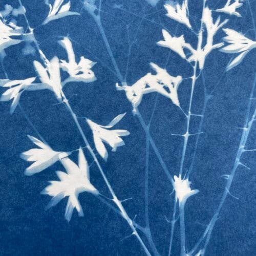 Ramo floral · Carta