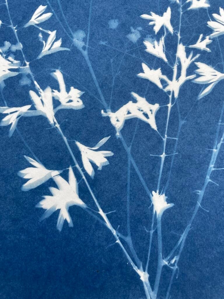 Ramo floral · Carta