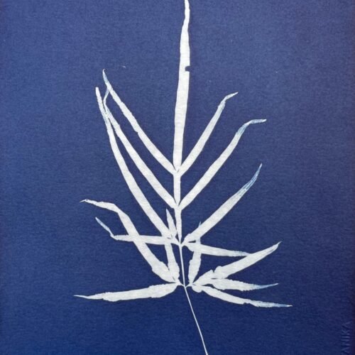 IMG_6493 Ramita · Carta