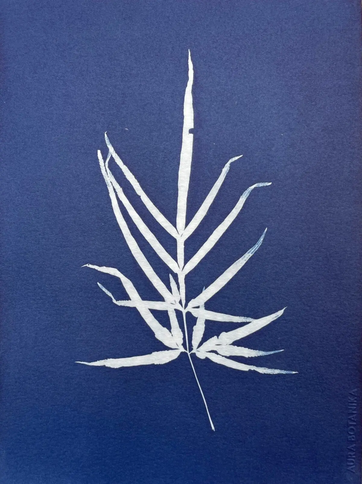 Ramita · Obra carta