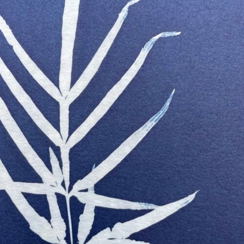 IMG_6494 Ramita · Carta