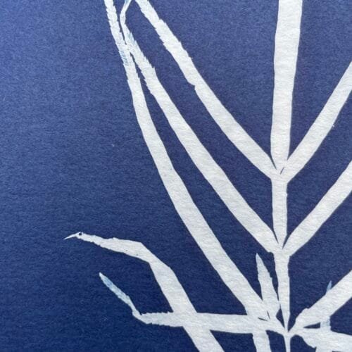 IMG_6495 Ramita · Carta