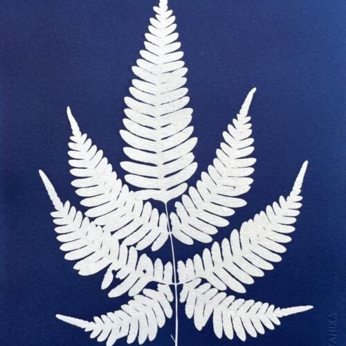 IMG_6510 Helecho · Carta