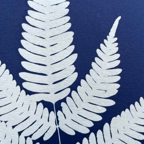 IMG_6512 Helecho · Carta