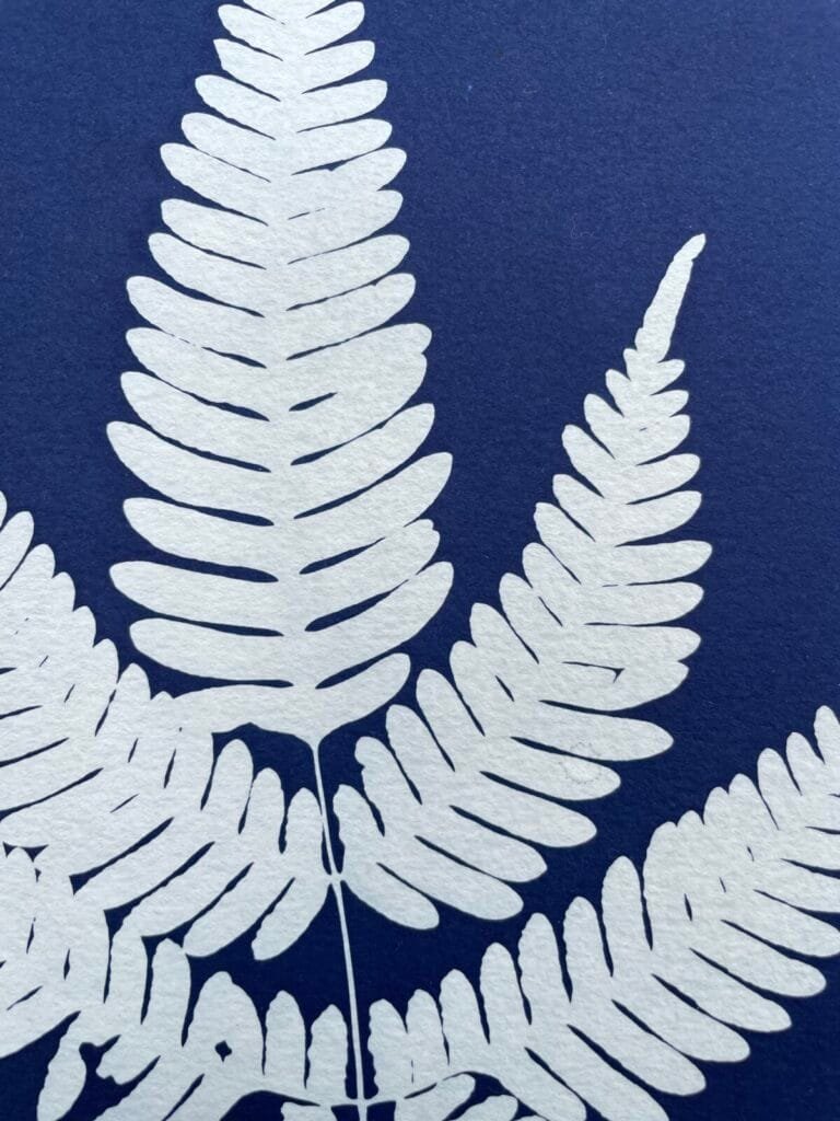 IMG_6512 Helecho · Carta