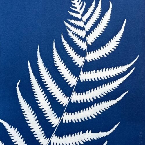 IMG_6519 Helecho II · Carta