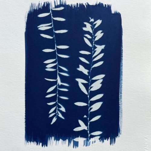 IMG_6522 Helecho del monte II · Carta