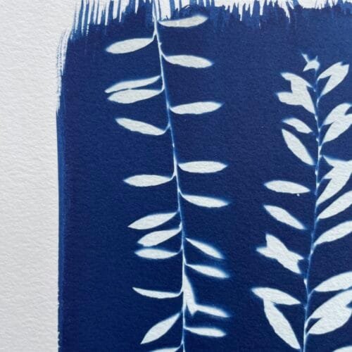 IMG_6524 Helecho del monte II · Carta