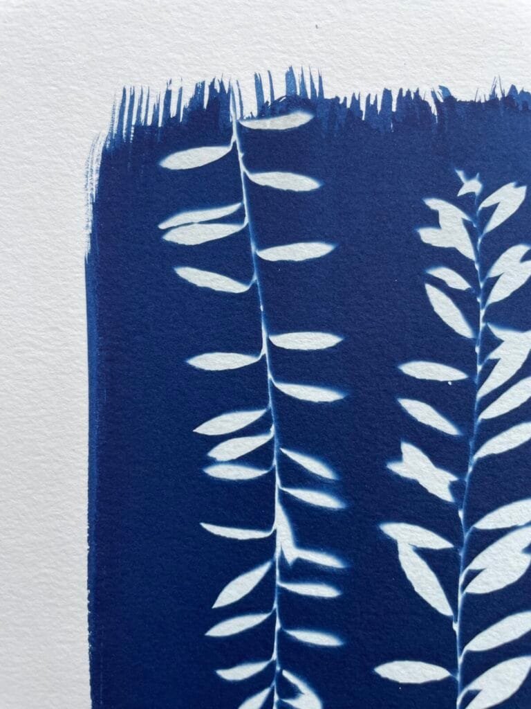 IMG_6524 Helecho del monte II · Carta