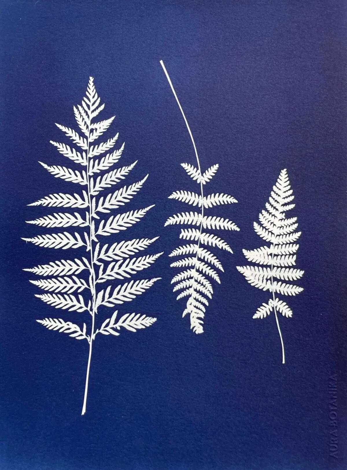 3 · Obra carta