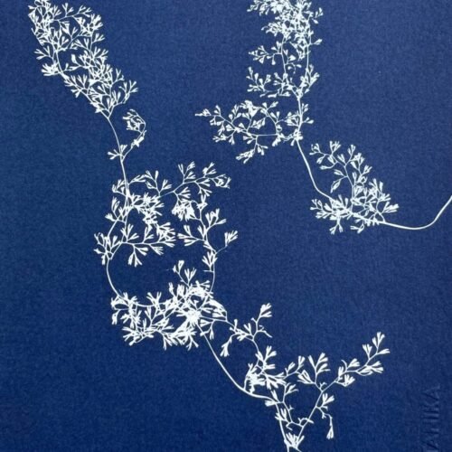 IMG_6534 Encaje del bosque · Media carta