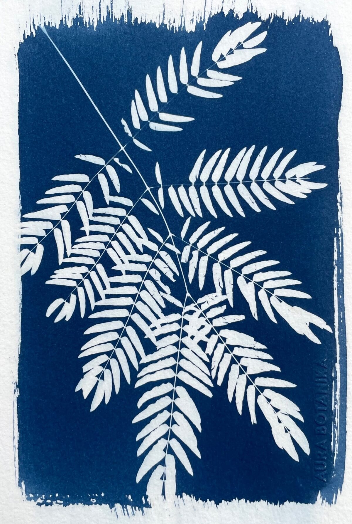 Helecho · Media carta