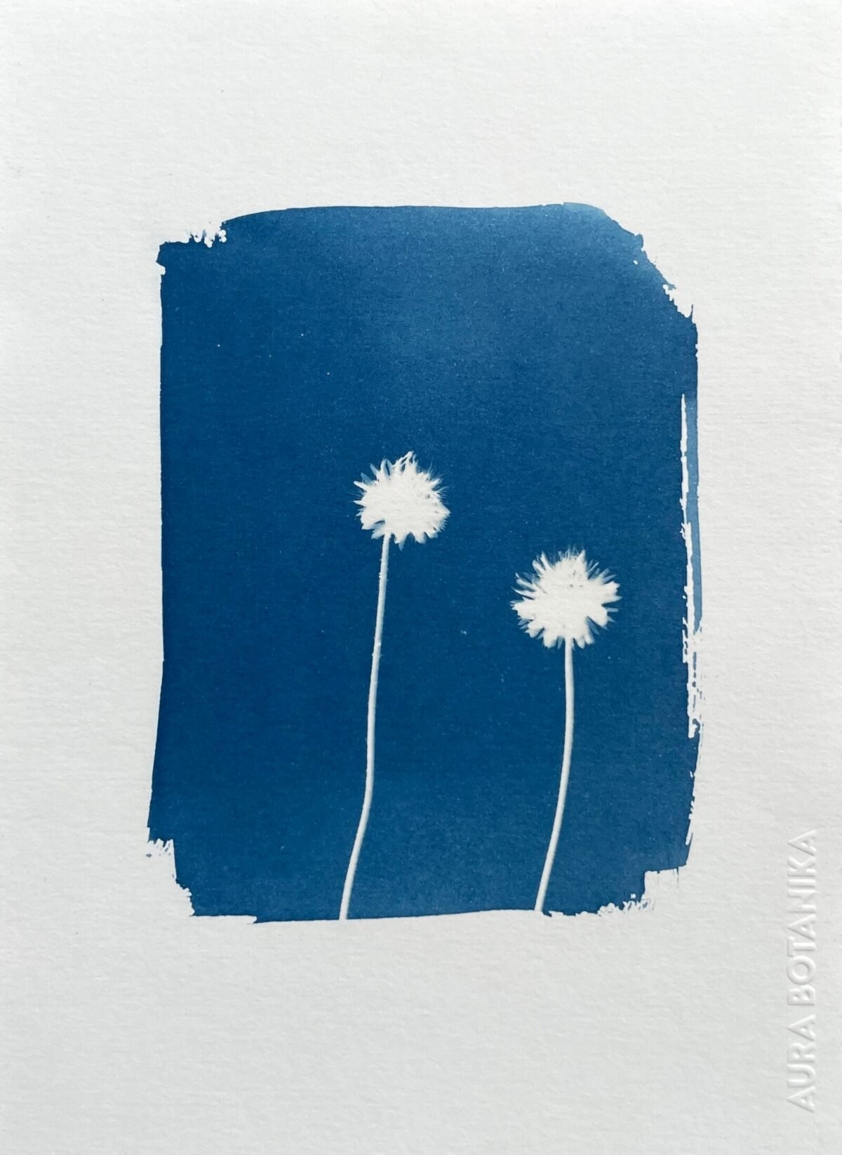 Botones de pelaje · Media carta