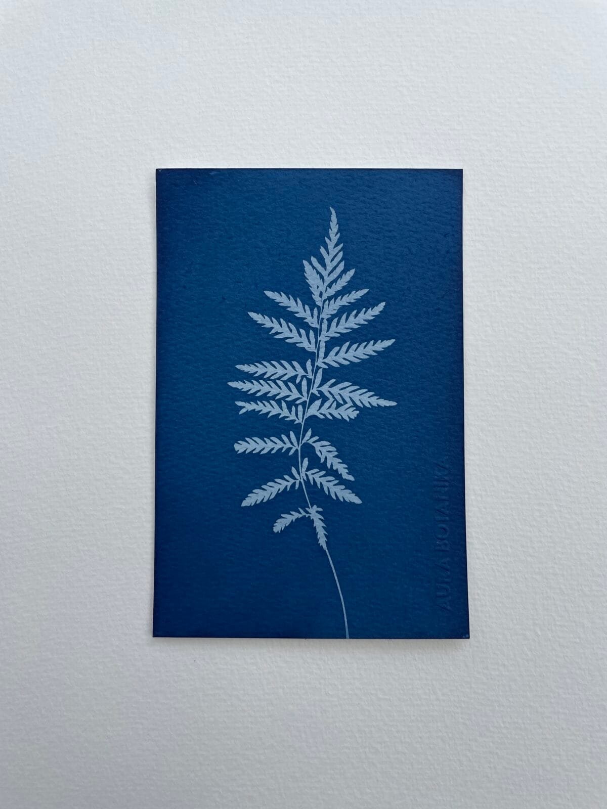 Helecho II · Postal