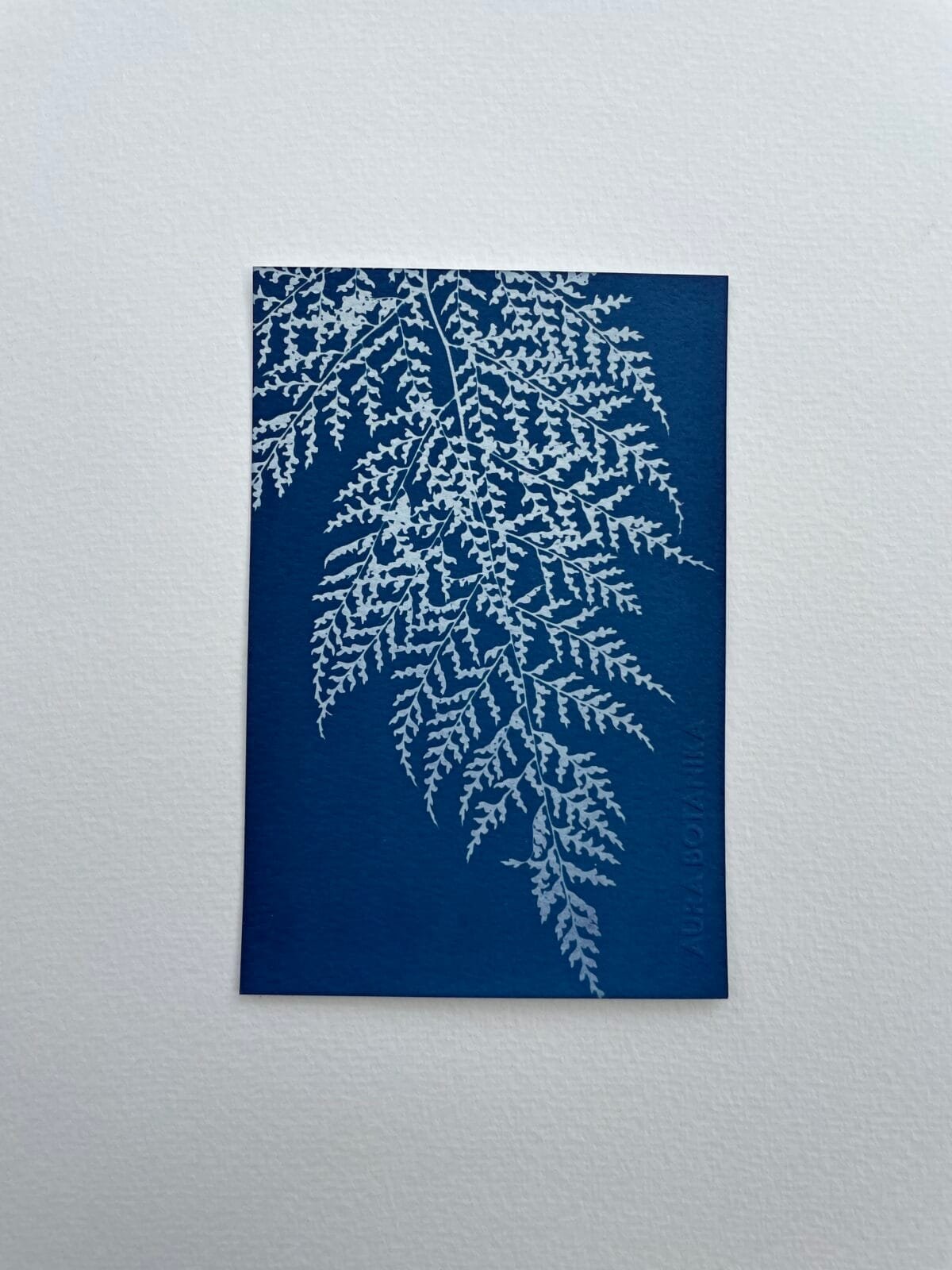 Helecho III · Postal