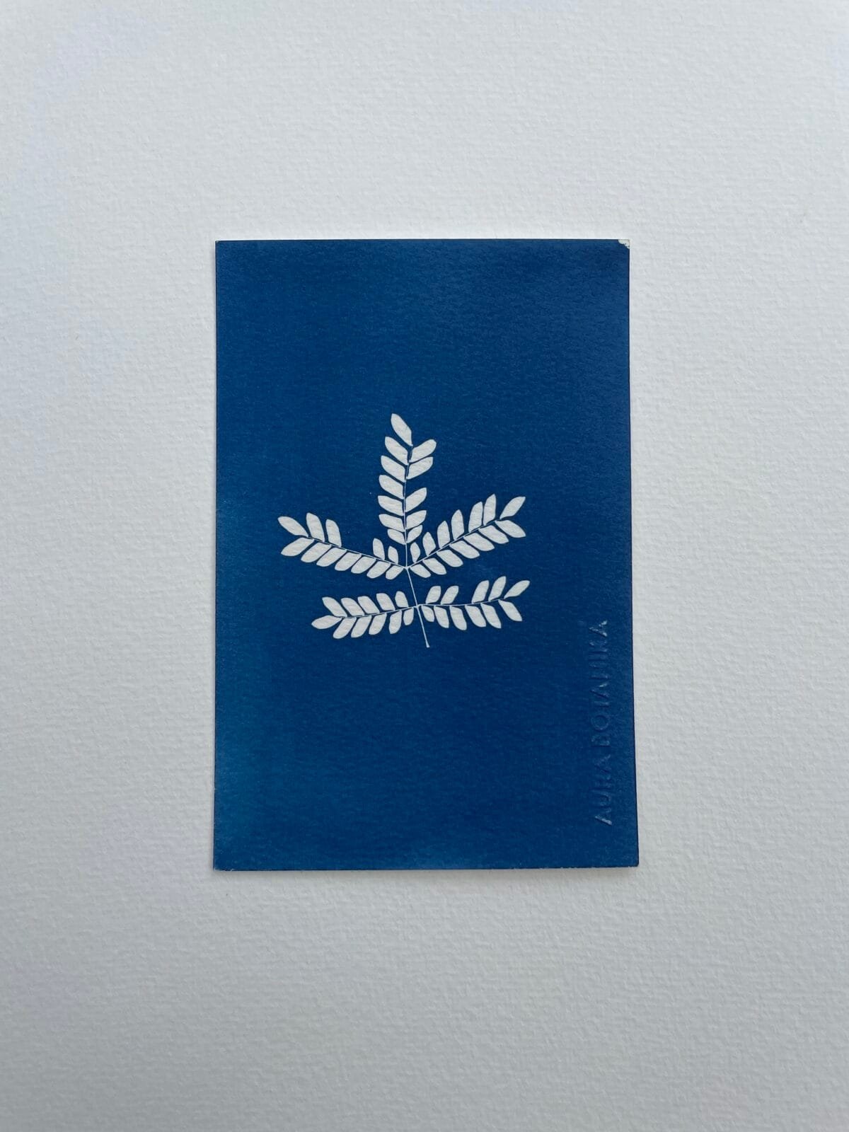 Helecho IV · Postal