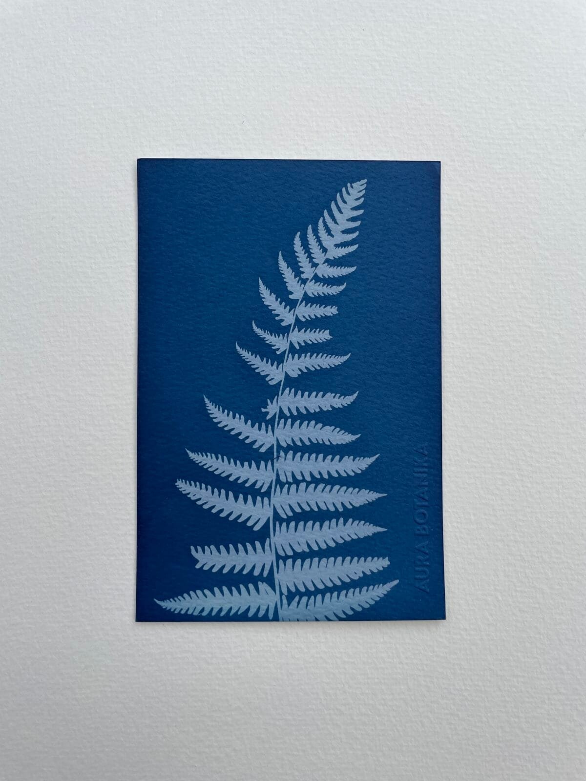 Helecho VI · Postal
