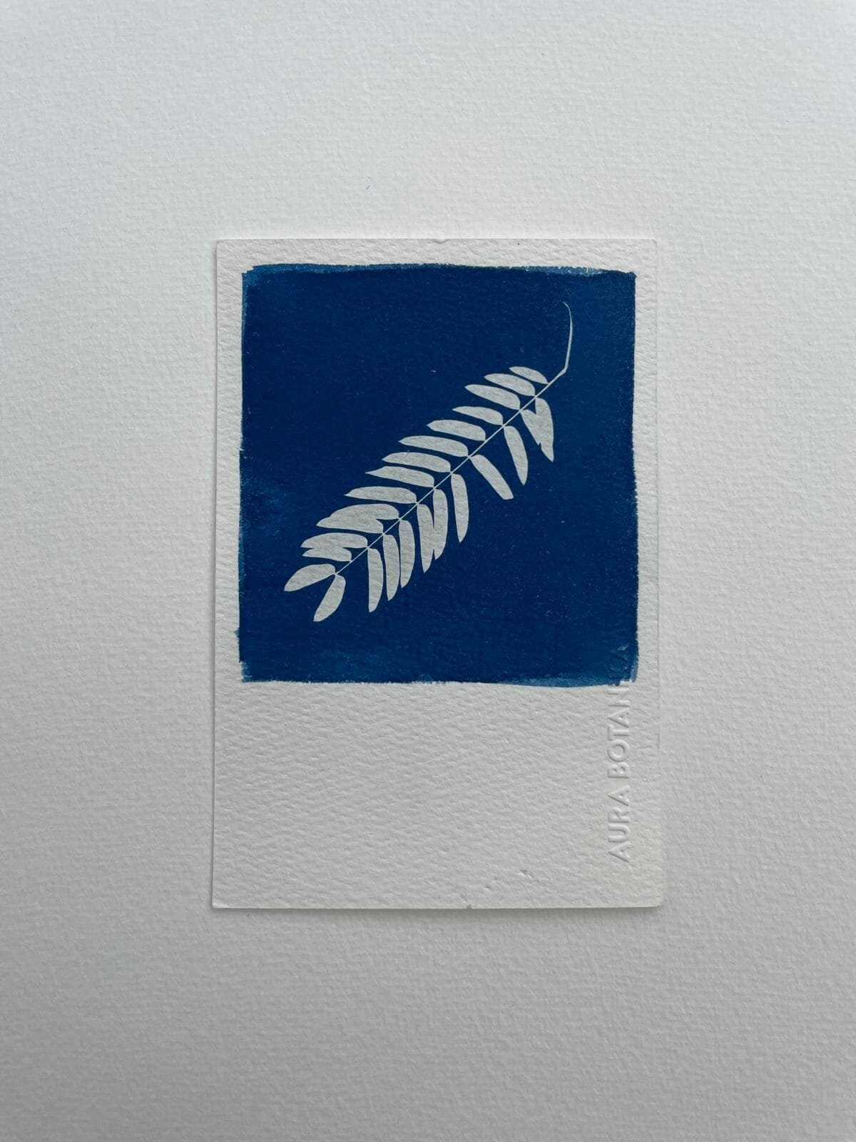 Helecho VII · Postal