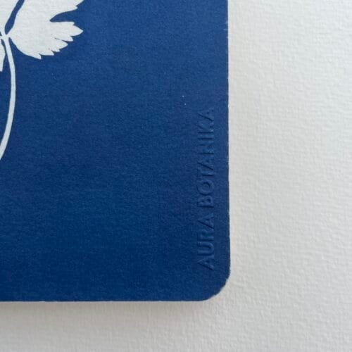 Trebol · Libreta pequeña