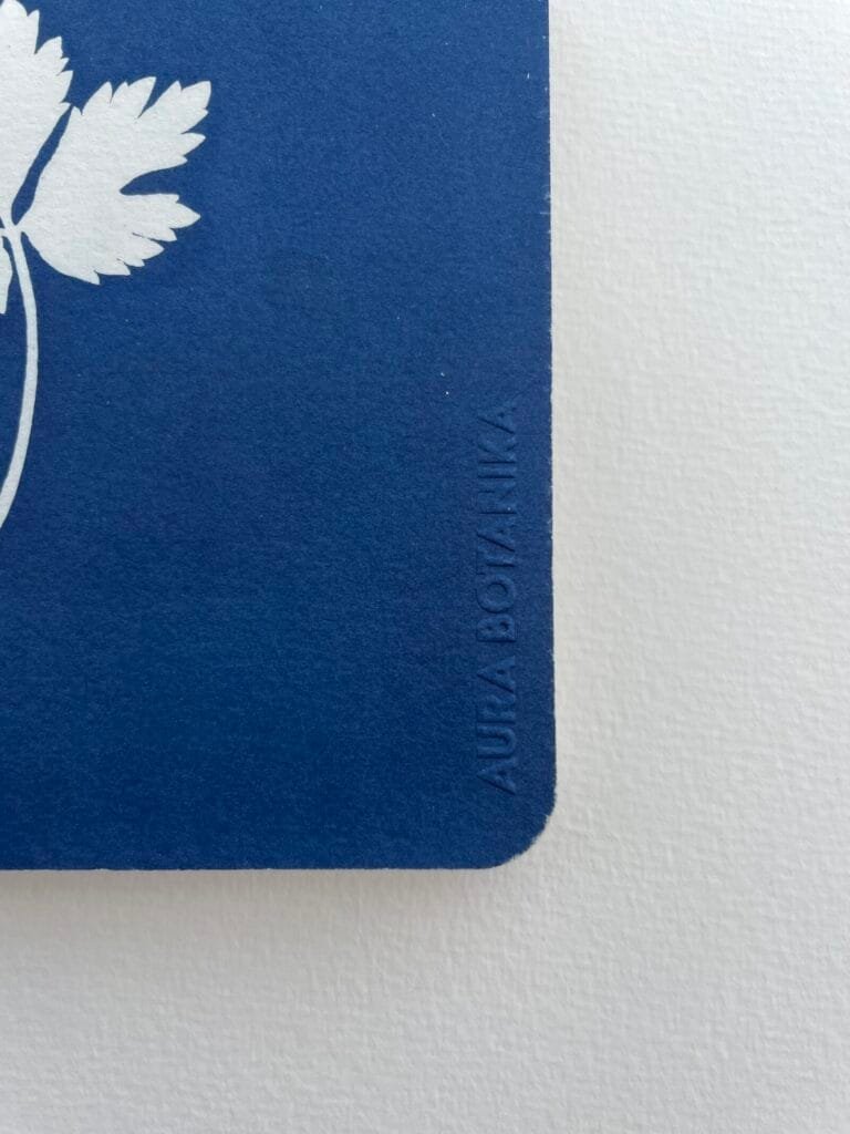 Trebol · Libreta pequeña