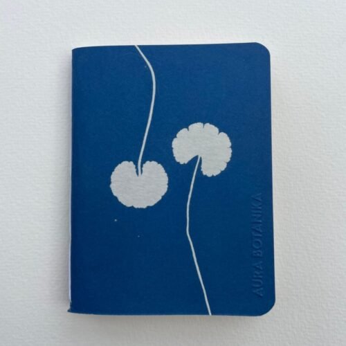 Centella · Libreta pequeña