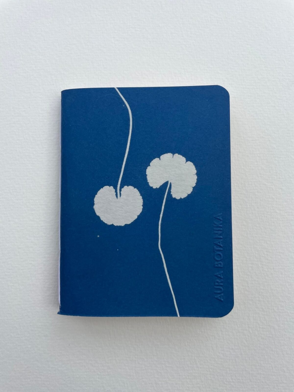 IMG_6572 3 Centella · Libreta pequeña