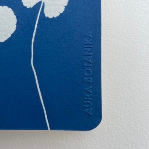 Centella · Libreta pequeña