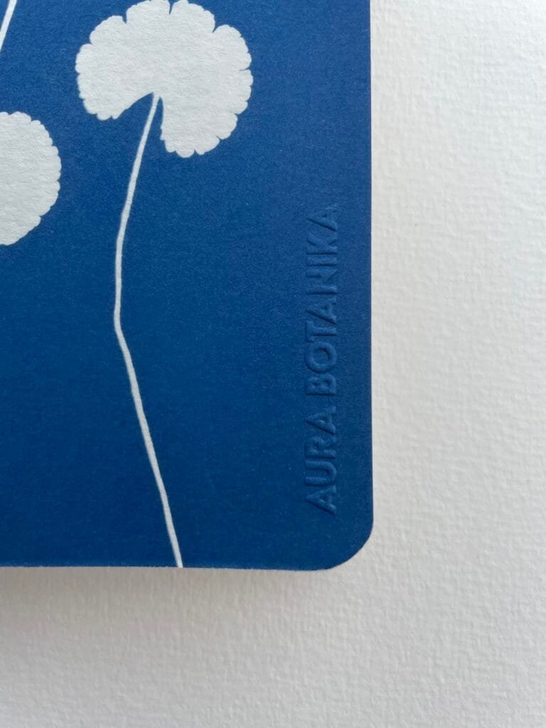 Centella · Libreta pequeña