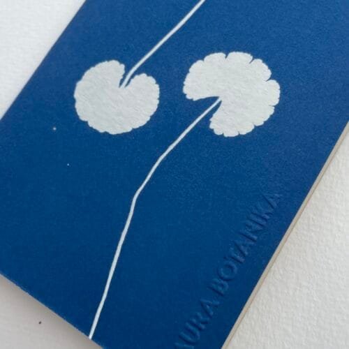 Centella · Libreta pequeña